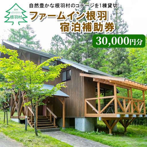 自然の中の隠れ家★コテージ一棟貸 根羽ヴィレッジ(30,000円分) コテージ 旅行 キャンプ BBQ