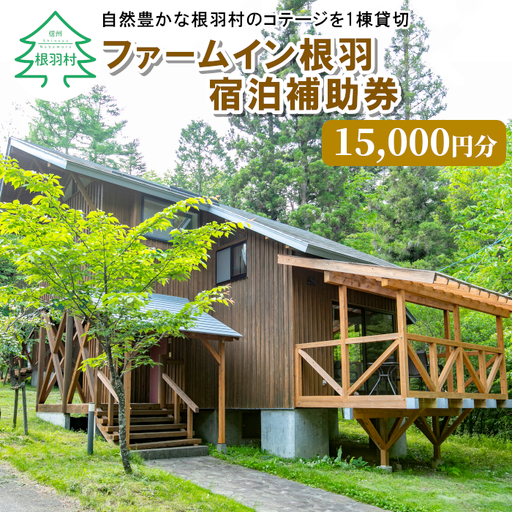 星空が自慢！BBQ 温泉 釣りプラン有★根羽ヴィレッジ 宿泊補助券 (15,000円分) コテージ 旅行