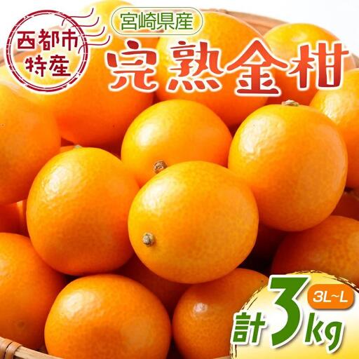【先行予約】宮崎県西都市産 完熟きんかん3kg（3L～L）　2027年発送＜18-8a＞