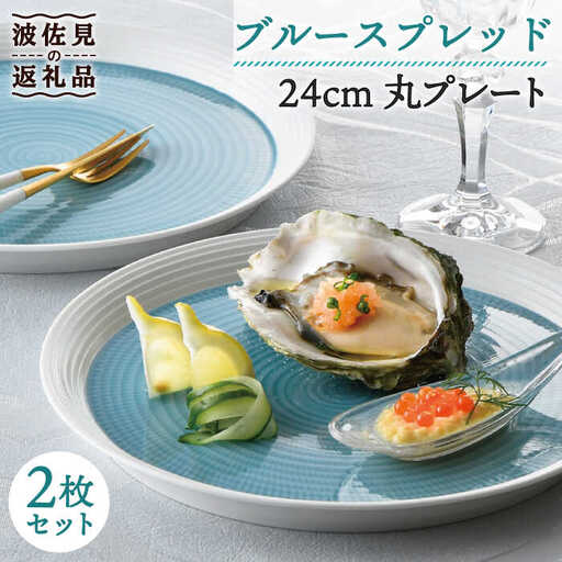 【波佐見焼】ブルースプレッド 24cm 丸皿 プレート 2枚セット 食器 皿 【一真窯】 [BB46]  波佐見焼