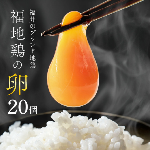 濃厚で甘くておいしい！ 福井ブランド「福地鶏」の卵 20個 ／ 卵 たまご 鶏卵 生卵 有精卵 高級 高級卵 福地鶏 鶏 平飼い 美味しい こだわり 卵かけご飯 料理 あわら市 福井県産 [aw036-a003]