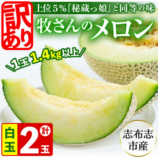 【訳あり・数量限定】牧さんの訳ありメロン 白玉(青肉)計2玉 メロン マスクメロン 果物 くだもの デザート 青肉 訳あり b0-106