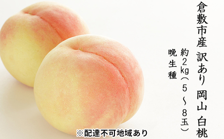 桃 2027年 先行予約 訳あり 白桃 約2kg(5〜8玉)晩生種 もも モモ 岡山県 倉敷市 産 国産 フルーツ 果物 花田青果