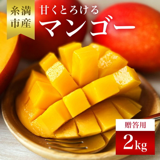 【 先行予約 2026年 発送 】 かねよしマンゴーの甘くとろける マンゴー 2kg ( 贈答用 ) 沖縄県産 アップルマンゴー アーウィンマンゴー 2キロ 国産 完熟マンゴー 果物 くだもの フルーツ 完熟 夏 旬 沖縄 産地直送 農家直送 ギフト 贈答品 糸満市 93-3