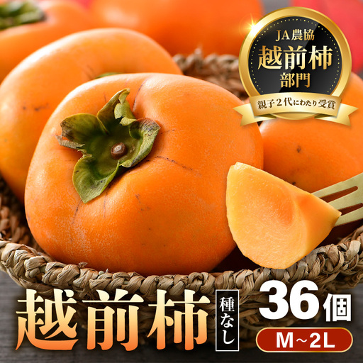 【先行予約】越前柿 36個入 約6kg（M～2L）≪JA受賞歴親子２代≫  ／ 果物 フルーツ 柿 産地直送 期間限定 あわら ※2026年11月上旬より順次発送 [aw061-a002]
