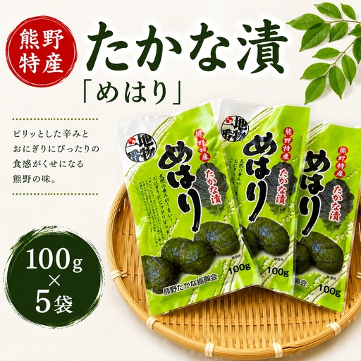 熊野特産　たかな漬「めはり」100g×5袋【化粧箱入り】【astk0001A】