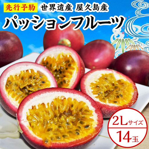 【2027年発送先行受付】絶品パッションフルーツ2L玉（14玉）“屋久島の恵み”と“愛情”込めて！
