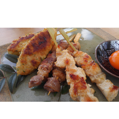 焼き鳥 冷凍 岡崎おうはん地鶏 焼き鳥 3種 15本 セット