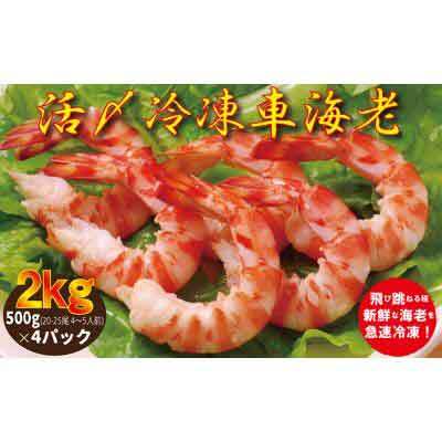 【南西興産】久米島の生産者から直送！活〆冷凍有頭車海老2kg：500g(20-25尾 4～5人前)×4パック