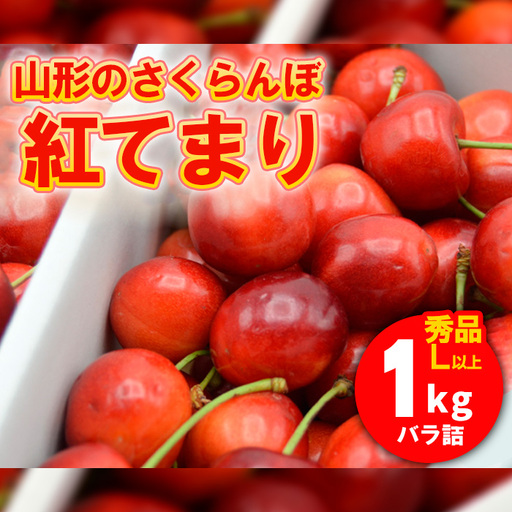 山形のさくらんぼ 紅てまり 1kg Lサイズ以上 バラ詰 【令和9年産先行予約】FS26-638