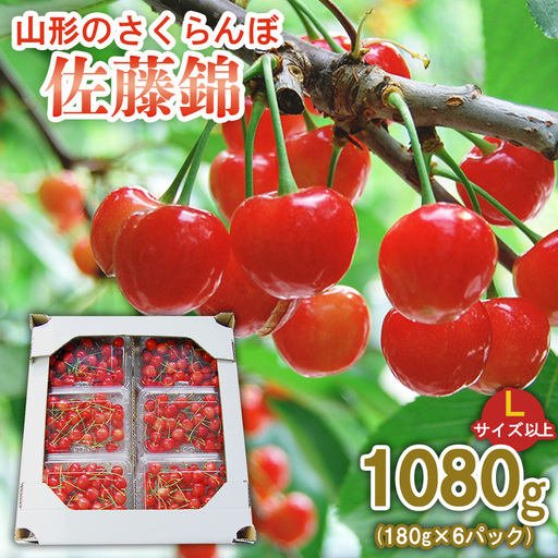 山形のさくらんぼ 佐藤錦 1080g (180g×6パック) Lサイズ以上 【令和9年産先行予約】FS25-514