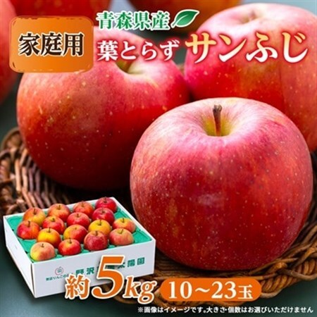 青森市産りんご「葉取らずサンふじ」約5kg(家庭用)_果物・フルーツ りんご リンゴ 林檎_[配送不可地域:離島・沖縄県]