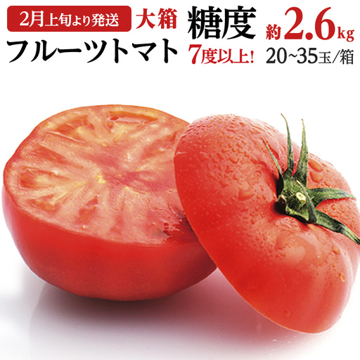 《 2027年 収穫分 》2～6月配送 フルーツトマト 大箱 約2.6kg × 1箱 (20～35玉/1箱) 糖度7度以上 先行予約 茨城県 桜川市 KEK 国産 トマト ブランドトマト 野菜 ギフト 贈答 [BC018sa]