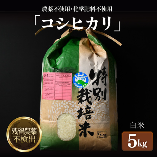 [先行予約][令和8年産 新米]コシヒカリ 精米 5kg 特別栽培米 農薬不使用 化学肥料不使用 / 残留農薬ゼロ 高品質 鮮度抜群 福井県産 ブランド米 白米 ※2026年9月下旬より順次発送予定 [aw063-a012]