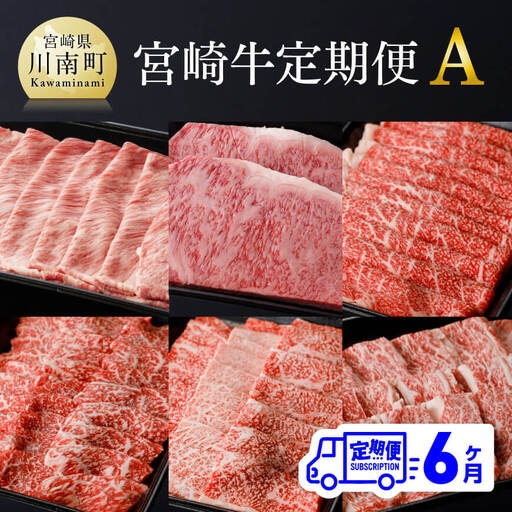 牛肉 【定期便】宮崎牛 ６ヶ月定期便A スライス ステーキ 牛肉