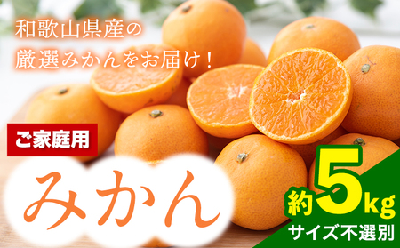 訳あり 和歌山 みかん約5kgサンファーム
