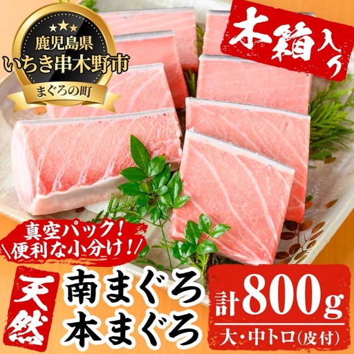 天然 マグロ 天然南マグロと本マグロ 800g  マグロ 刺身 柵 【00-041-06】
