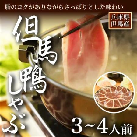 「但馬鴨」しゃぶしゃぶセット(小)3〜4人前[配送不可地域:離島]