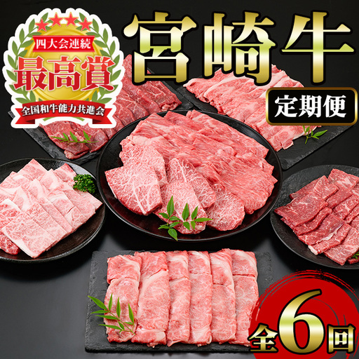 [定期便・6回(連続)]宮崎牛・定期便A(6ヶ月)[MI002][(株)ミヤチク宮崎加工センター]