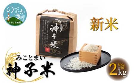 新米神子米500g×4袋計2kgみことまい N0137-YA3383
