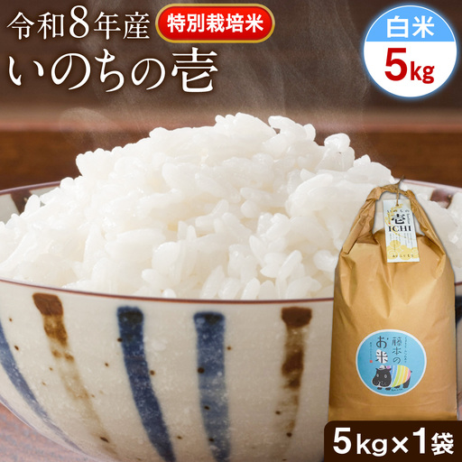 令和8年産 特別栽培米 いのちの壱 白米 5kg 雑穀米付き 虹色のかば