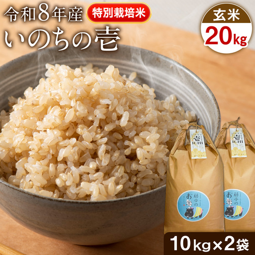 令和8年産 特別栽培米 いのちの壱 玄米 20kg (10kg×2袋) 雑穀米付き 虹色のかば