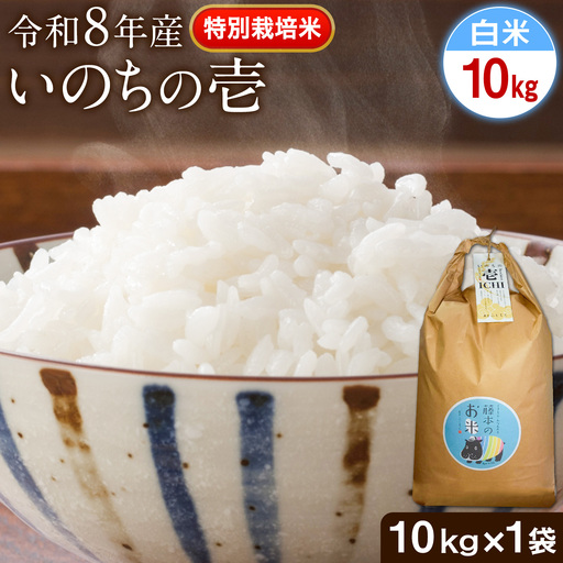 令和8年産 特別栽培米 いのちの壱 白米 10kg (10kg×1袋) 雑穀米付き 虹色のかば