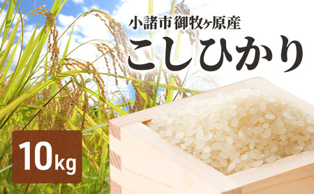 こしひかり 御牧ヶ原産 精米 10kg こしひかり