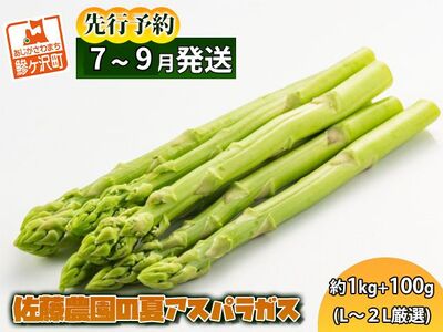 アスパラガス 先行予約 2026年 夏アスパラガス 約1kg+100g L～2L 厳選 佐藤農園 アスパラ グリーンアスパラ 野菜 夏野菜 夏 旬 旬の野菜 産地直送 青森 青森県 鰺ヶ沢町 冷蔵 冷蔵配送 7月～9月発送