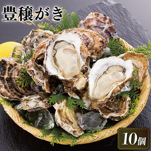 豊穣かき 10個 生食用 冷凍 かき 牡蠣 カキ  オイスター oyster アヒージョ バーベキュー BBQ フライ 揚げ物 鍋 ごはん 夕飯 おかず おつまみ 晩酌 米 丼 海産物 海鮮 魚介 魚介類 贈答品 お中元 大船渡 三陸 岩手県 国産