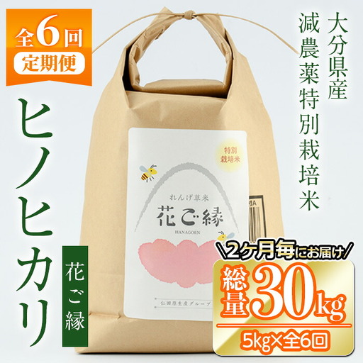 ＜先行予約受付中！2026年11月より発送開始予定＞＜定期便・全6回 (奇数月発送)＞減農薬特別栽培米 はなご縁 (総量30kg・5kg×6回)  米 定期便 ６回 隔月 ひのひかり ヒノヒカリ 精米 白米 数量限定 大分県産【HD174】【さいき本舗 城下堂】
