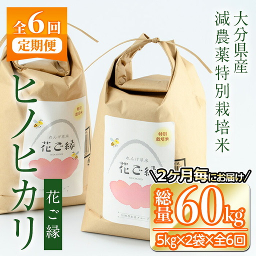 ＜先行予約受付中！2026年11月より発送開始予定＞＜定期便・全6回 (奇数月発送)＞減農薬特別栽培米 はなご縁 (総量60kg・5kg×2袋×6回)米 定期便 ６回 隔月 ひのひかり ヒノヒカリ 精米 白米 数量限定 大分県産【HD175】【さいき本舗 城下堂】