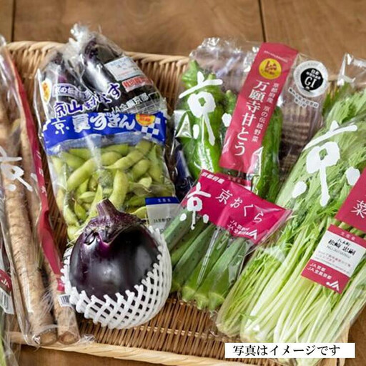 ＜２回　定期便＞【JA全農京都】半年に１回配送！季節の京野菜セット