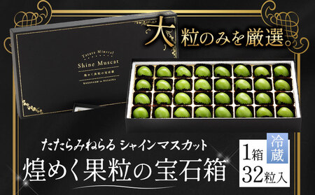 たたらみねらるシャインマスカット 煌めく果粒の宝石箱 32粒