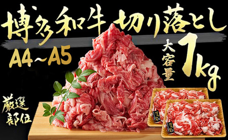 限定 牛肉 A4〜A5 博多和牛 切落とし 合計1000g(500g×2p)計1kg 肩ロース 赤身 バラ カルビ 配送不可:離島