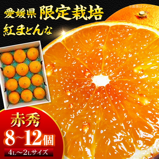 紅まどんな （8個-12個 ）【11月下旬から順次発送】紅まどんな みかん[AGBA002]