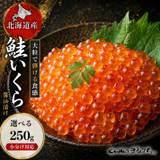 いくら 醤油漬け 250g×1P 北海道 鮭卵 訳あり 冷凍 尾張まるはち