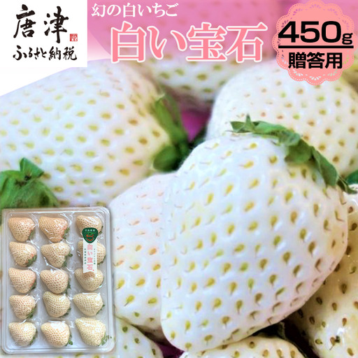 『先行予約』【令和9年2月上旬から4月下旬までにお届け】白い宝石 白いちご 450g 贈答用 いちご イチゴ 苺 フルーツ 果物 希少