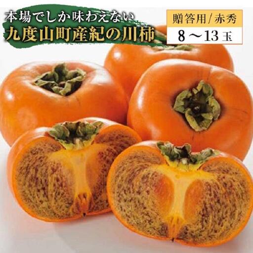 ◆先行予約◆和歌山県産 紀の川柿＜贈答用／赤秀＞ 8-13玉【2026年10月中旬発送】【九度山町産】【MG1】