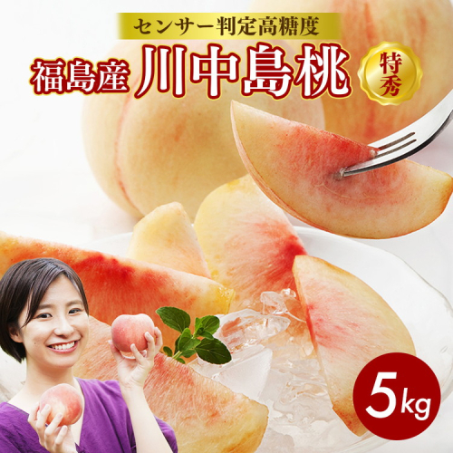 透過式光センサー川中島白桃 特秀5kg相当 15玉～18玉＜ ふくしま未来農業協同組合 ＞ | ふくしま 桃 福島 もも 国見 モモ ※2026年8月～発送