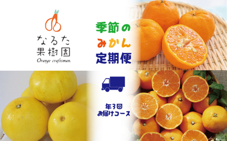 [定期便3回]なるた果樹園 みかん 定期便 A ぽんかん 土佐文旦 温州みかん ぶんたん 文旦 果物 フルーツ 3回 季節 高知 宿毛 みかん ジャム マーマレード みかん