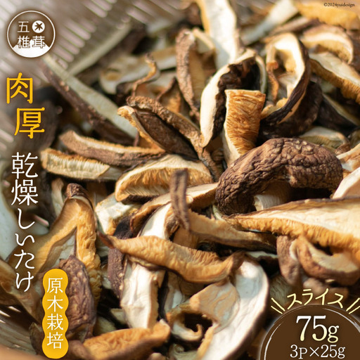 しいたけ 乾燥 肉厚 乾燥しいたけ約25g 3p 計75g