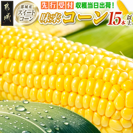 [先行受付]朝どれ!!都城産スイートコーン(味来コーン)5kg 15本以上〔13-B4-001-6〕_(都城市) 朝どれ とうもろこし スイートコーン 5キロ 約15本以上 産地直送 みずみずしい あまい