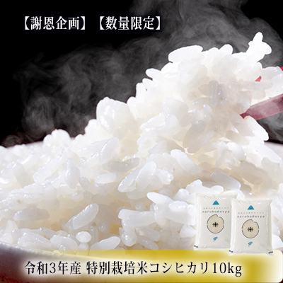 コシヒカリ 米 特別栽培米 秋田県産 コシヒカリ【10kg(5kg×2袋)】