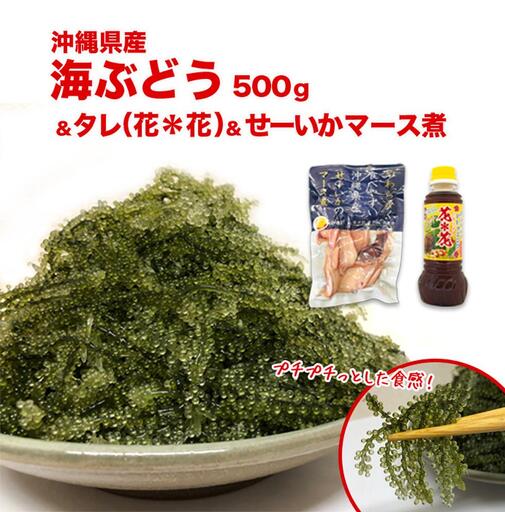 南城市産海ぶどう500g