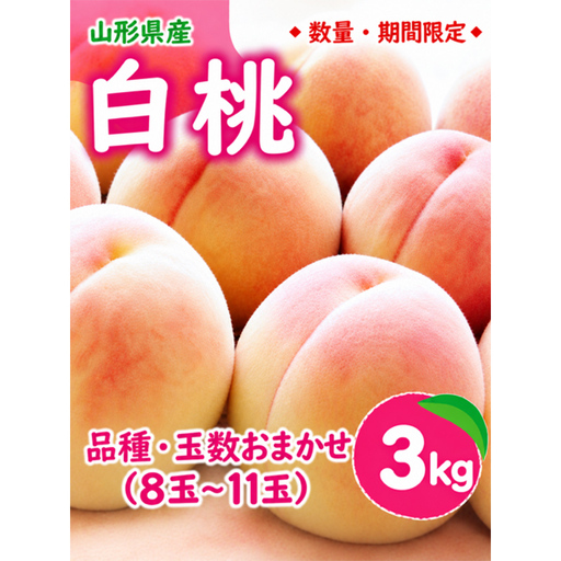 【2027年先行予約】※数量 ・期間限定※ 山形県産白桃 品種 玉数おまかせ 3kg FSY-2402