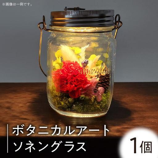 ボタニカルアート ソネングラス_kn077-001