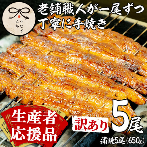 【0603716a-om】【生産者応援品】＜訳あり・数量限定＞鹿児島県産東串良町のうなぎ蒲焼(5尾・計650g以上・秘伝のタレ付き)＆訳あり蒲焼セット うなぎ 高級 ウナギ 鰻 国産 蒲焼 蒲焼き たれ 鹿児島 訳あり 【うなぎ太郎】