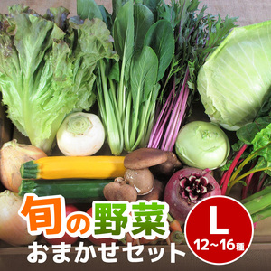 旬の野菜【L】セット【配達不可：北海道・沖縄・離島】 詰合せ 