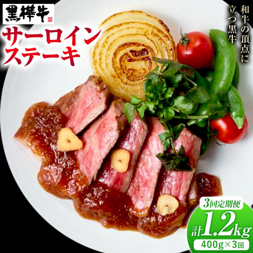 [3ヶ月定期便]くまもと黒毛和牛 黒樺牛 A4-A5等級サーロインステーキ定期便 400g×3回 合計1.2kg [お申し込み月の翌月から出荷開始]熊本県 菊池市 和牛 お肉 牛肉 黒毛和牛 霜降り ステーキ 国産 九州産 熊本県産 冷凍 送料無料
